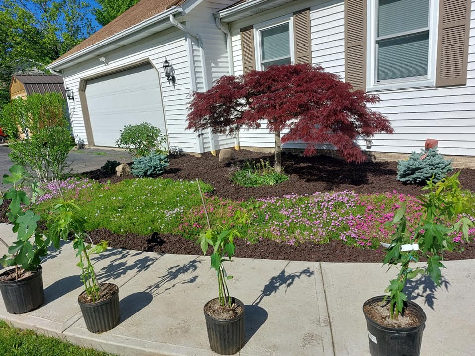 Wonderful new flower bed